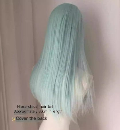Lace Front Wig - Long Straight Hair