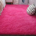Fluffy Shaggy Area Rug for Living Room