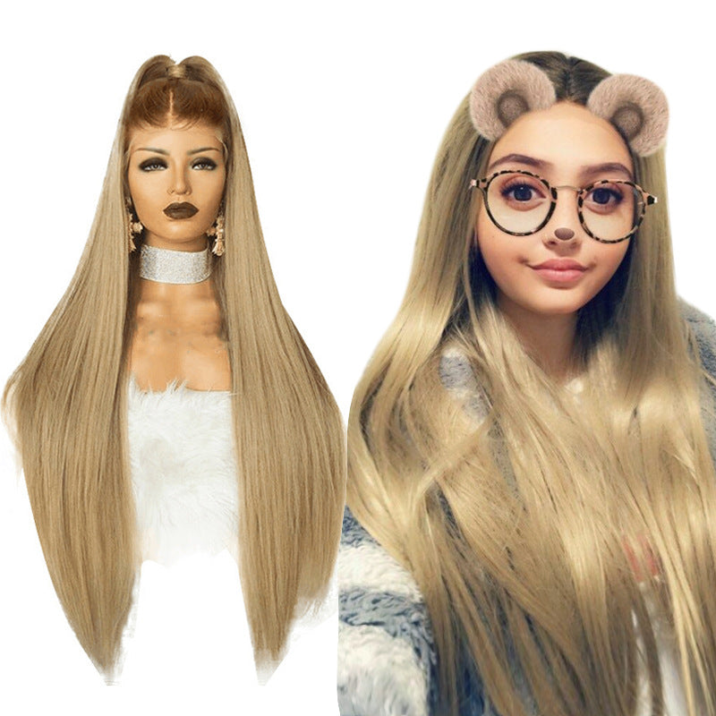 Women's Lace Front Wig - Ombre Long Straight