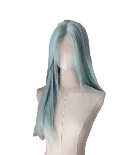 Lace Front Wig - Long Straight Hair