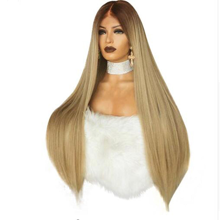 Women's Lace Front Wig - Ombre Long Straight