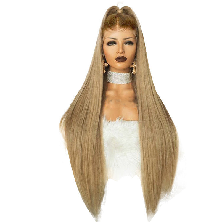 Women's Lace Front Wig - Ombre Long Straight