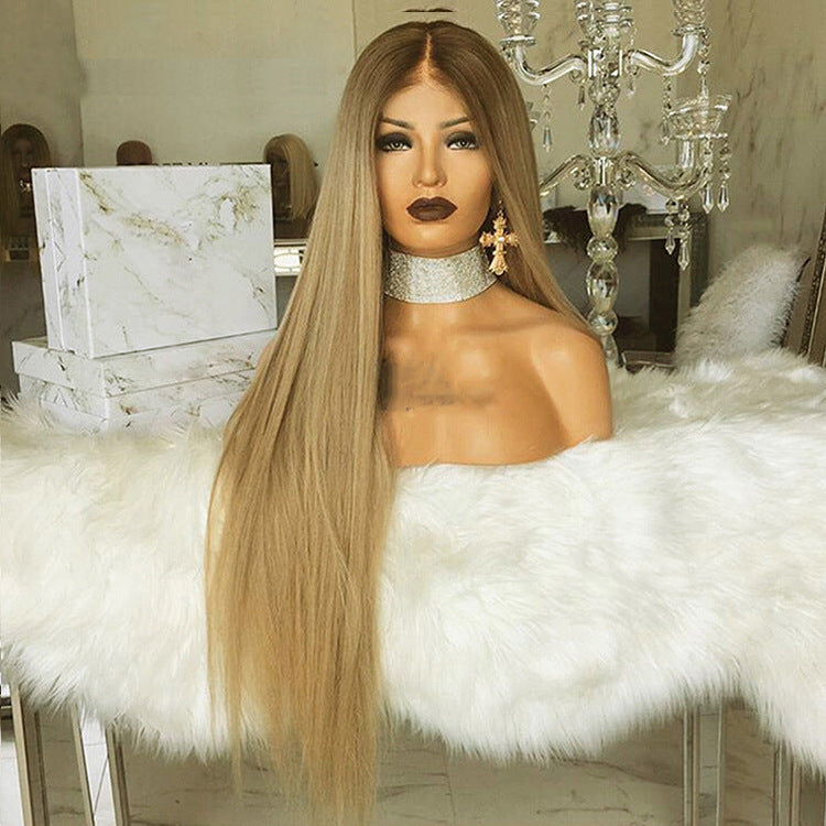 Women's Lace Front Wig - Ombre Long Straight
