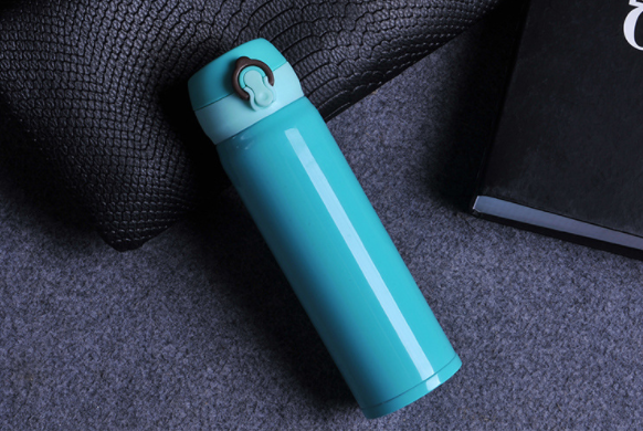 Slim Insulated Stainless Steel Water Bottle