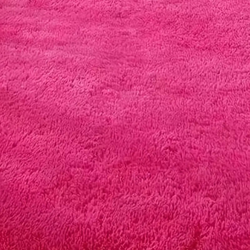 Fluffy Shaggy Area Rug for Living Room