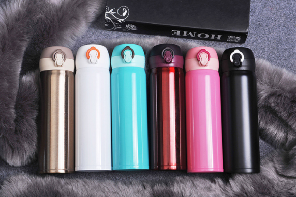 Slim Insulated Stainless Steel Water Bottle