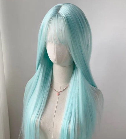 Lace Front Wig - Long Straight Hair