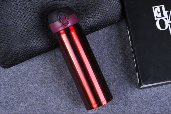 Slim Insulated Stainless Steel Water Bottle