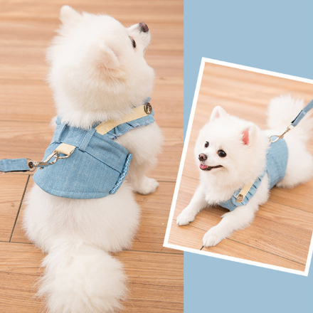Pet Vest Harness Leash for Small to Medium Dogs