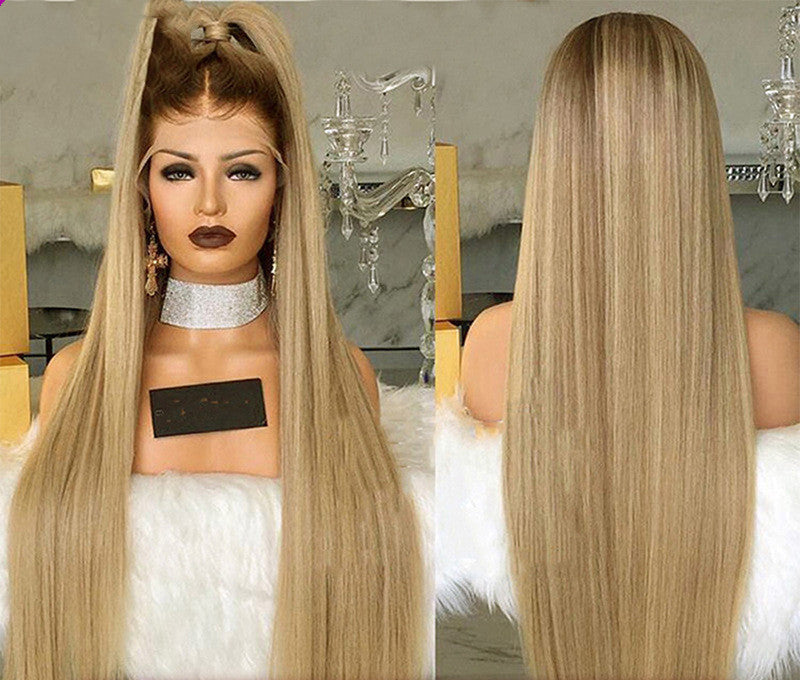 Women's Lace Front Wig - Ombre Long Straight