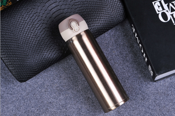 Slim Insulated Stainless Steel Water Bottle